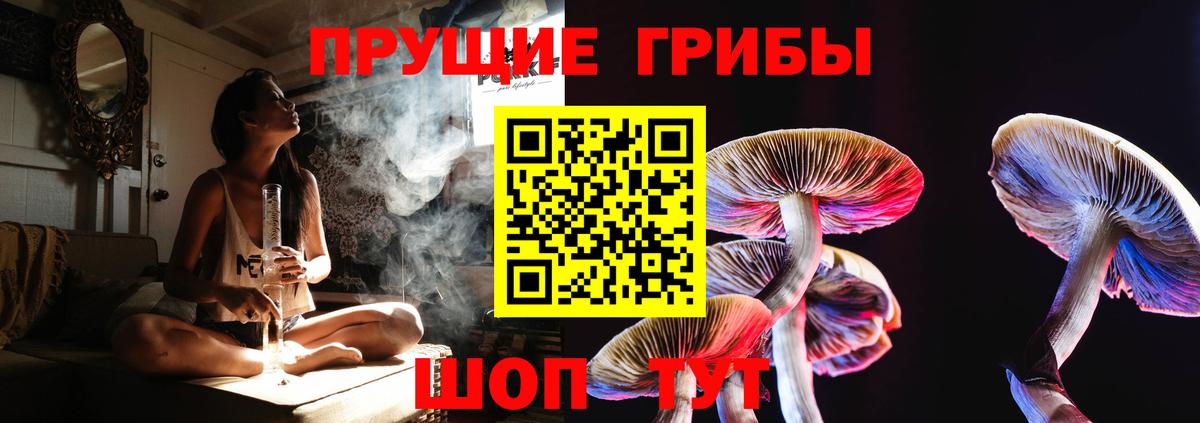 Псилоцибиновые грибы ЛСД Артём
